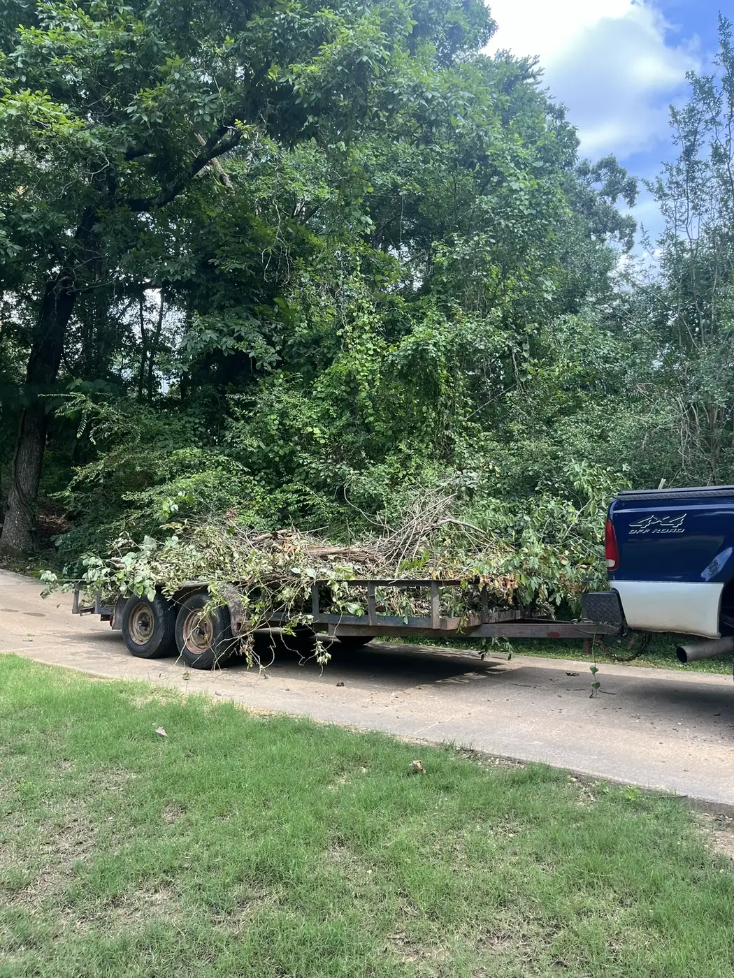 Trailer loaded with cut tree branches and brush for a yard debris haul